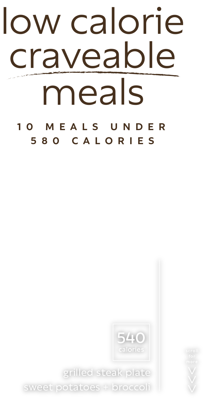 low calorie text